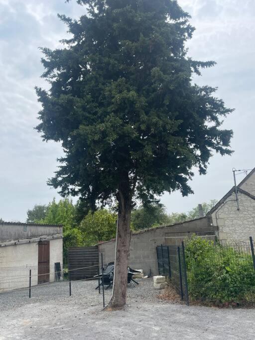 Maison Le Grand Sapin , 5min Du Zoo Parc De Beauval Holiday home *